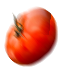 Tomate